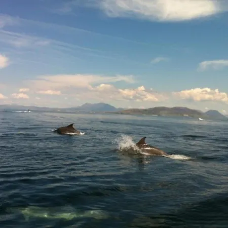 Feriehus Mourneen Cottage, *